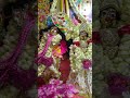 Sri Radha Krishna sringar in my home