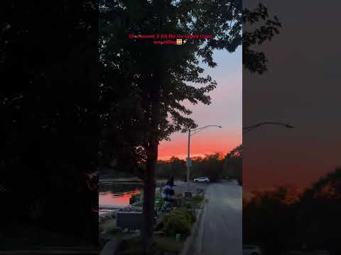 When your neighborhood starts looking like Stranger Things....#sunset #sky #pinksky #viral #short