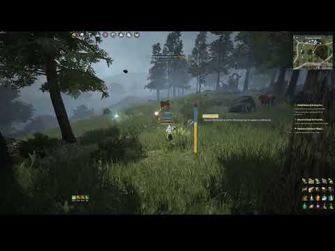 BDO how to 'tame' 2 horses at the same time