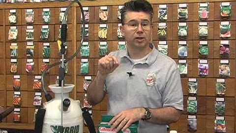 When and how to control Coddling Moth larvae in apples & pears