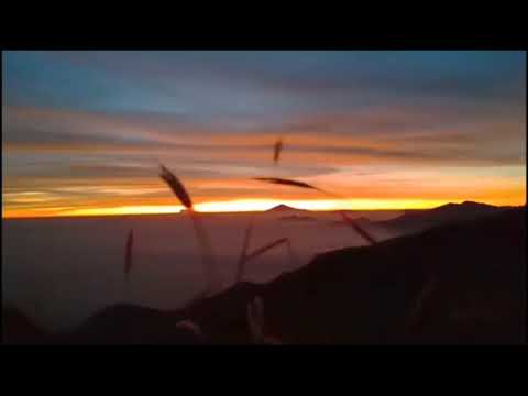 Lagu Nasional - Tanah Air ( cover ) - EDM x Gamelan by Alffy Rev ft Brisia jodie \u0026 Gasita Karawi