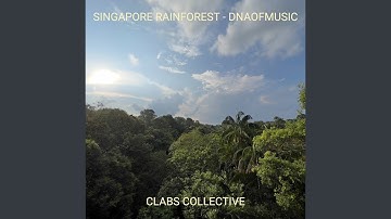 Calophyllum Inophyllum by Francesco Criscione | DNAofMusic for Eth BiodivX - Singapore Xprize...