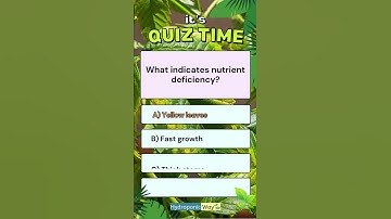 How to Spot Nutrient Deficiency in Plants? ⚠️ #hydroponicway #hydroponics #shorts #quiz #quiztime
