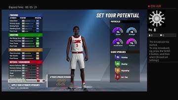 THE Best SMALL FORWARD BUILD IN 2k20 DEMO