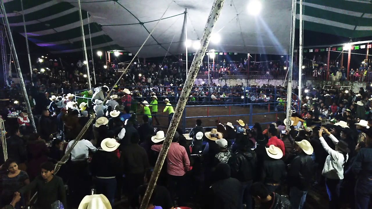Toro el Sicario de rancho la misión en Chapantongo YouTube