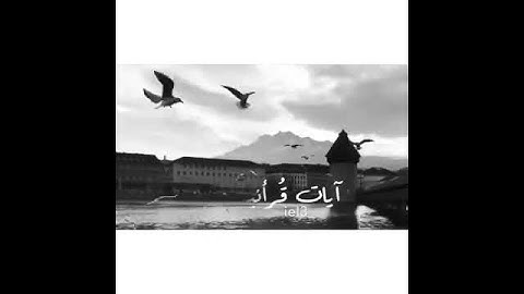 القرآن الكريم ربيع قلبي ونور صدري.