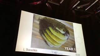 Natural Beekeeping and Wilderness Conservation - Dr.  Leo Sharashkin - Apimondia 2019