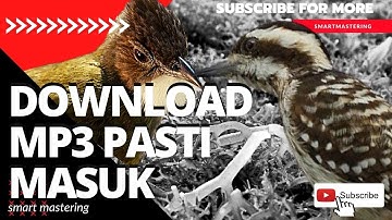 burung cucak jenggot rol nembak vs burung pelatuk beras sampit gacor dor fighter | Mastering 3D