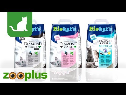 Biokat´s Cat Litter | zooplus