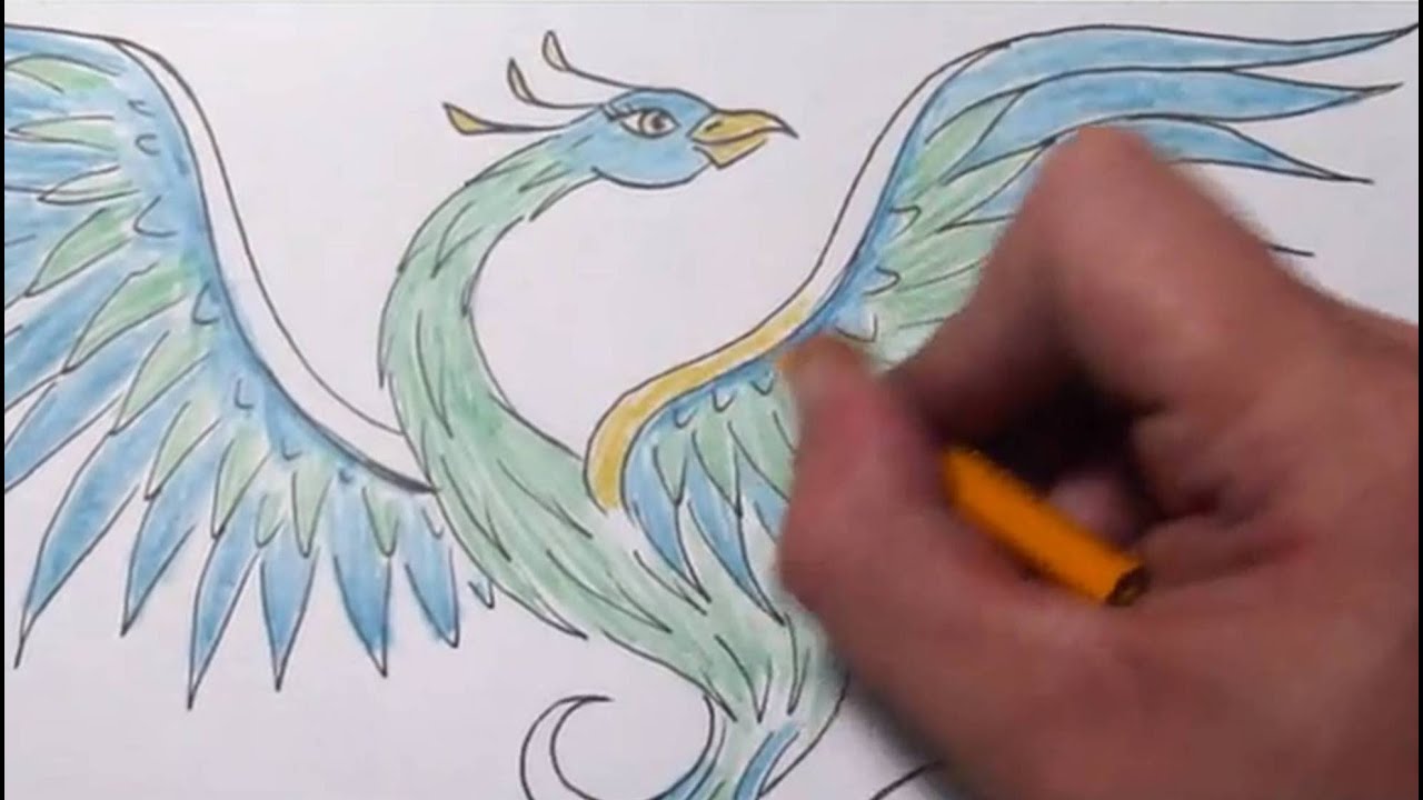 How to Draw a Blue Phoenix I Phoenix Bird Drawing Tutorial  YouTube