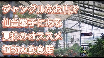 ガーデンガーデン Youtube