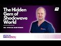 The Hidden Gem of Shockwave World