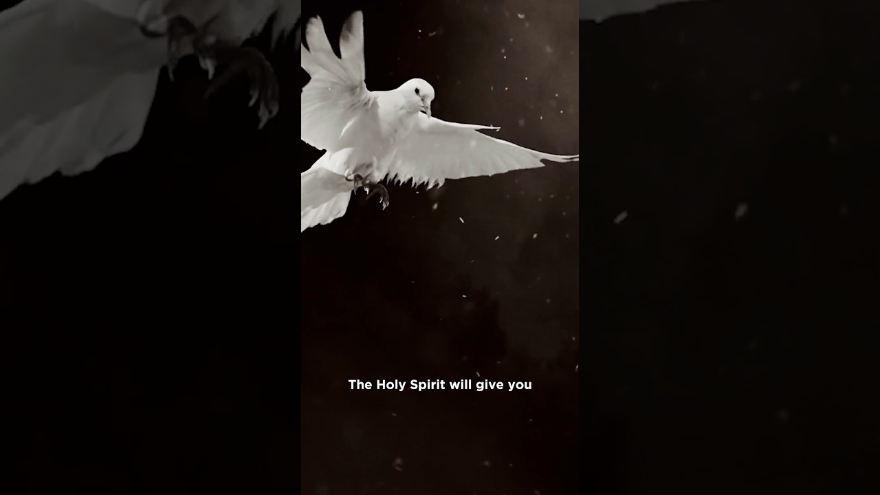 What is the baptism of the Holy Spirit?