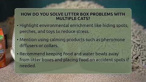 How Do You Solve Litter Box Problems With Multiple Cats? - Happy Cat Handbook