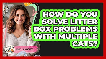 How Do You Solve Litter Box Problems With Multiple Cats? - Happy Cat Handbook