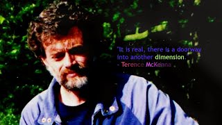Rap Dancing Into The 3rd Millennium ~ 1994, Starwood Festival  Terence McKenna