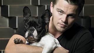 Leonardo DiCaprio's Net Worth ★ Biography   2018   YouTube