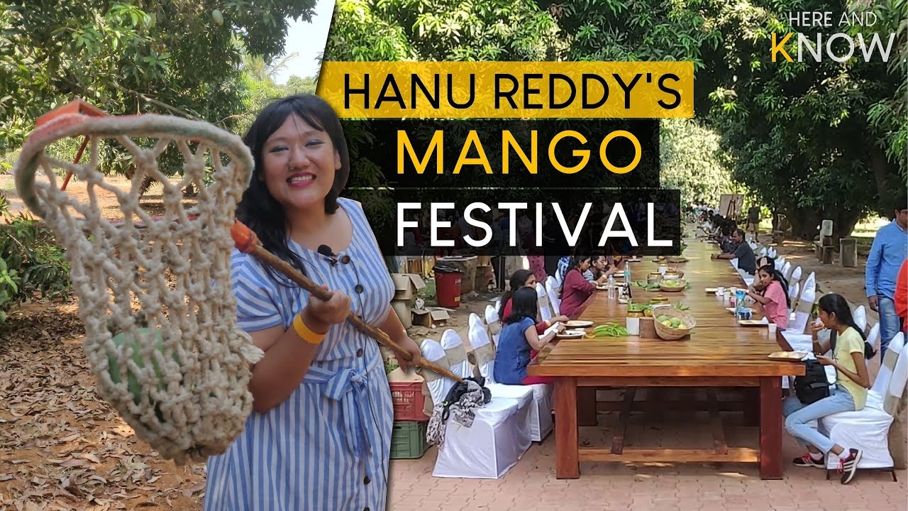 Hanu Reddy Mango Festival | Chennai | Picnic spot | Farm Experience ...