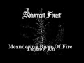 Abhorrent forest  the end of life 2017