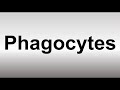 How to Pronounce Phagocytes