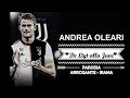 DE LIGT ALLA JUVE - PARODIA ARROGANTE (Irama)