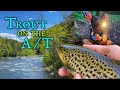 Trout fishing and camping on the appalachian trail