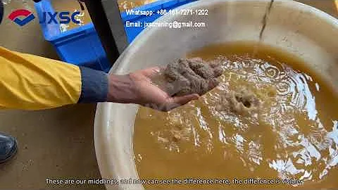 Preliminary gravity separation of gold ore in spiral chute