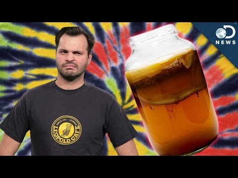 Video: Beruser kombucha dig?