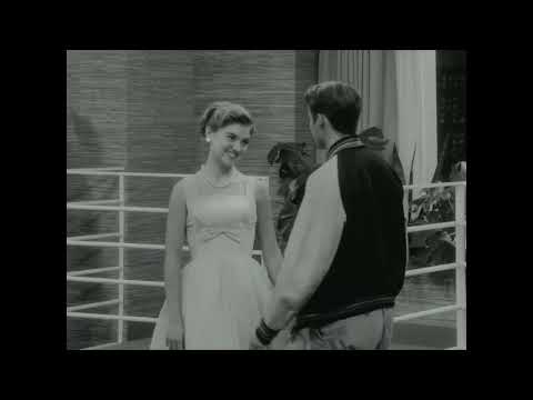 Hank Azaria - Nancy With The Laughing Face