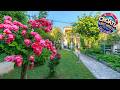 Aparments Jedro&amp;Karlo | Musalez, Croatia | Hotel Review 🛏️