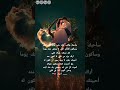سأحبك واكتب عنك حتى ينام قلبي للابد