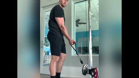 Single Arm Cable Bicep Curls (Proper Form)