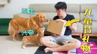 It was the first time that Corgi received a Children’s Day gift, it was very excited