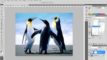 [3D Buzz][Photoshop CS5 Fundamentals] 053. Curves