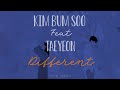 kim bum soo ft taeyeon - different (han/rom/indosub lyrics)