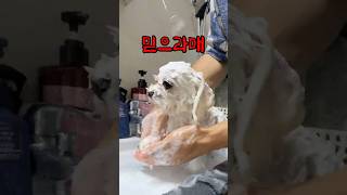 옆에 있다가 얻어걸리뿐 해피