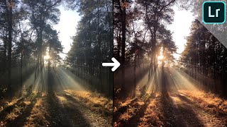 How I edit my landscape photos (forest with sunrays) | LIGHTROOM TUTORIAL screenshot 4