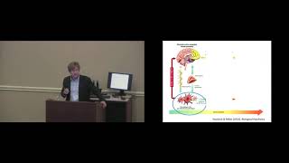 Dr. Robin Nusslock - Inflamed Brain and Neuroimmune Model of Depression