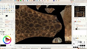 Timelapse Create Texture for Giraffe - Part 5 of 5 - Gimp retouch