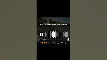 الضحكه هربانه من واحد سايكو تشان لينو تشانغبين هيونجين هان فيلكس سونغمين ايان Straykids 
