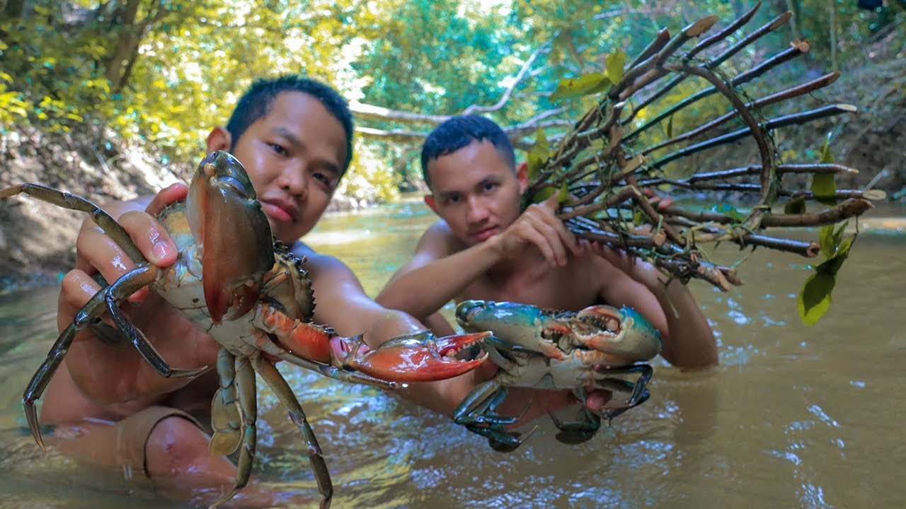 survival time small cell carcinoma bladder Catching Crab and Fried Yummy Crabs in the forest