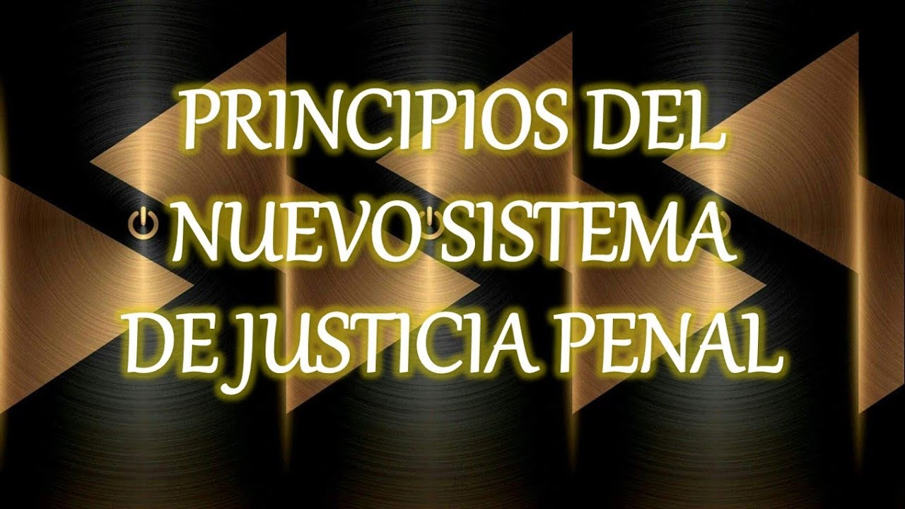 Principios Rectores Del Nuevo Proceso Penal En Mexico - Vrogue