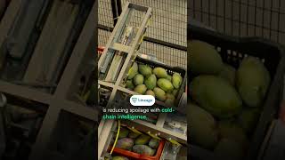 Which companies are successfully using AI in logistics right now?