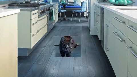 CS 445 Final Project Poisson Blending