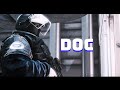 Doc, on the subject of teammates (Rainbow Six Siege)