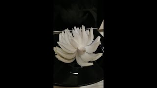Shorts Bow Beautiful Flower | Как сделать цветок из лука Хризантема - Украшение праздничного стола