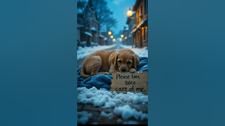 This Puppy Was Left Alone in the Snow 🐶 | Heart Touching Dog Rescue Story #shorts #shortsfeed #cute