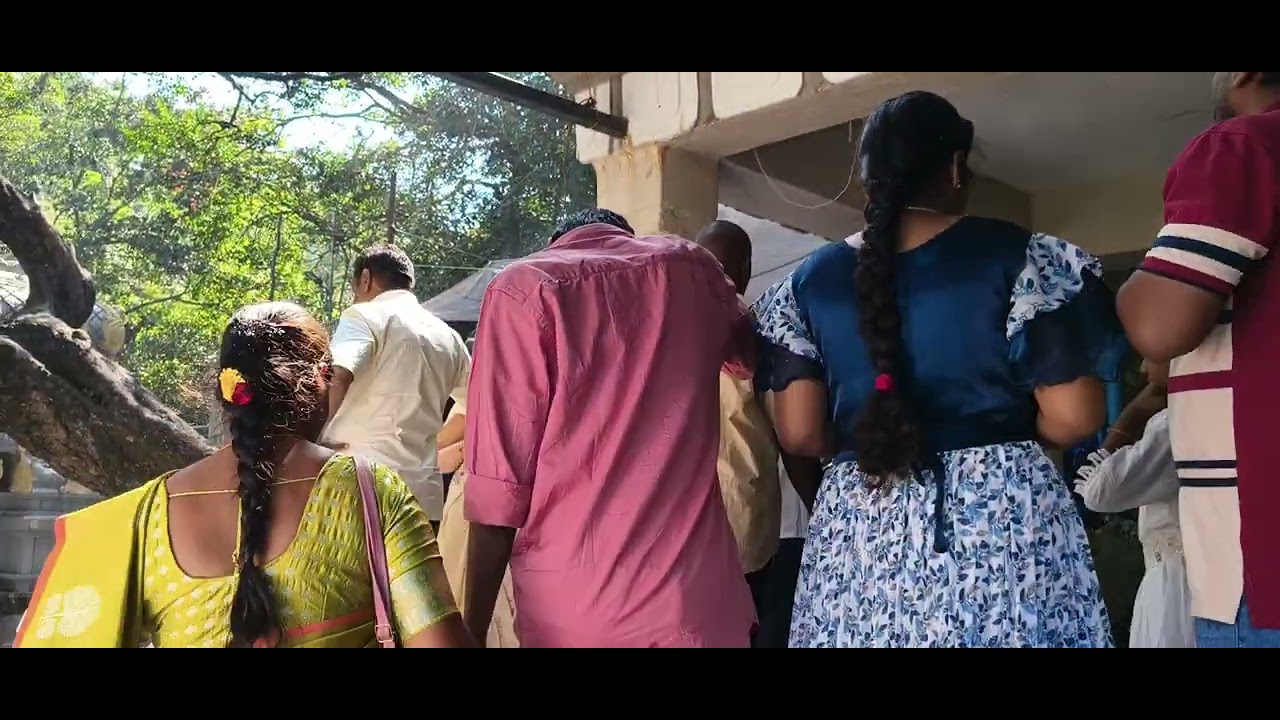 Water fall #trending #travel #viral #shorts 