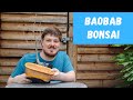 From Nursery Stock To Bonsai Baobab Tree 