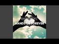 Miniature de la vidéo de la chanson Hands Up Forever